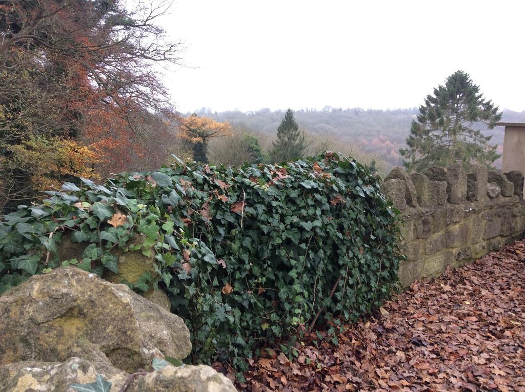 Longacre Bed & Breakfast Freshford Oda fotoğraf